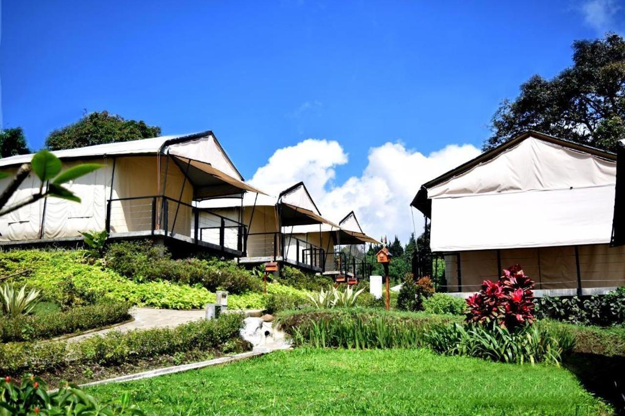 Trizara Glamping